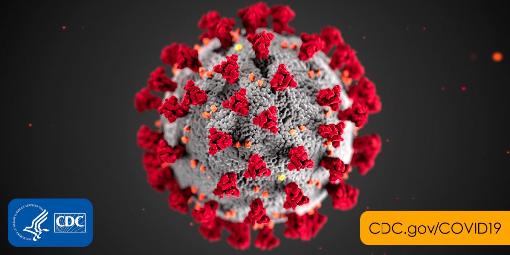 imagen del covid-10 (coronavirus)